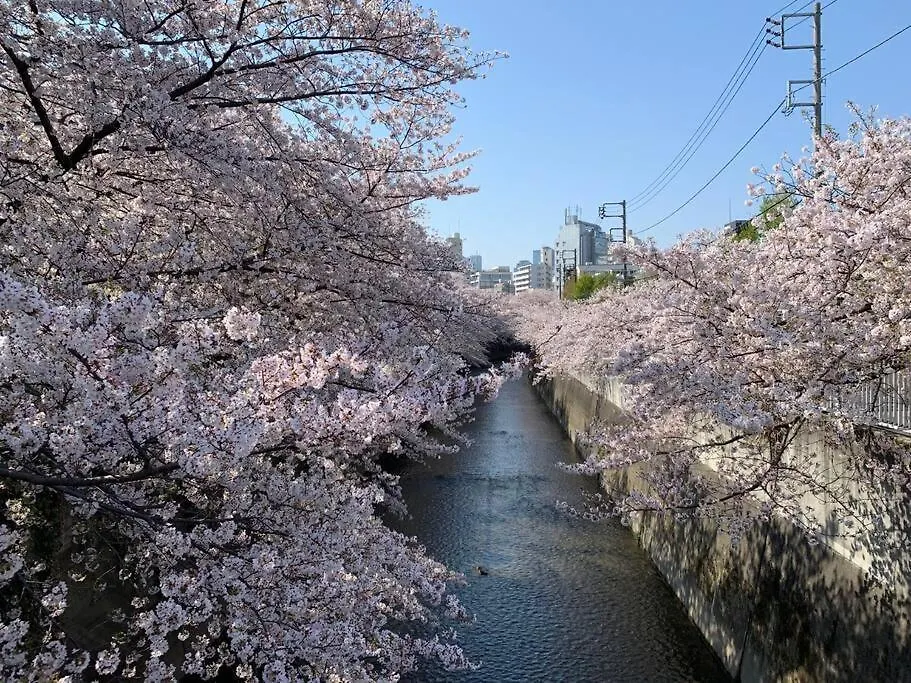 Ryokan New Open Rosenheim 旅館 スイートルームb無料wifi Japan