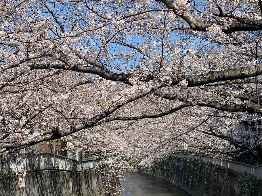 New Open Rosenheim 旅館 スイートルームb無料wifi 0*, Tokyo